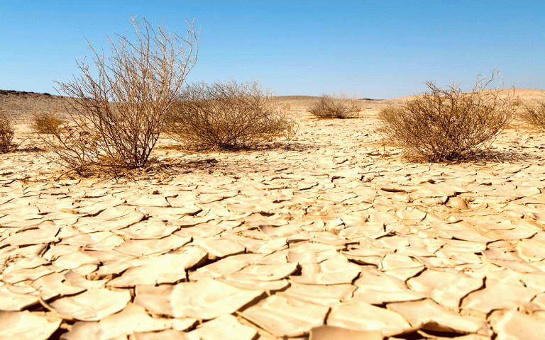 Guelma:<br>  Journée mondiale de lutte contre la désertification et la sécheresse